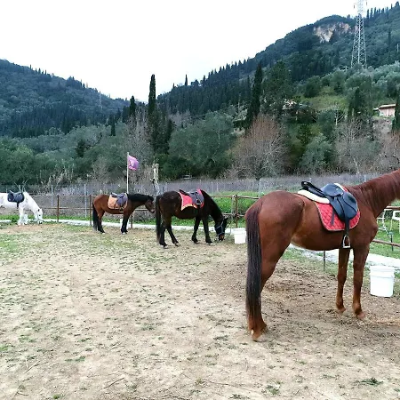 Кемпинг St.nicholas Ranch Corfu *